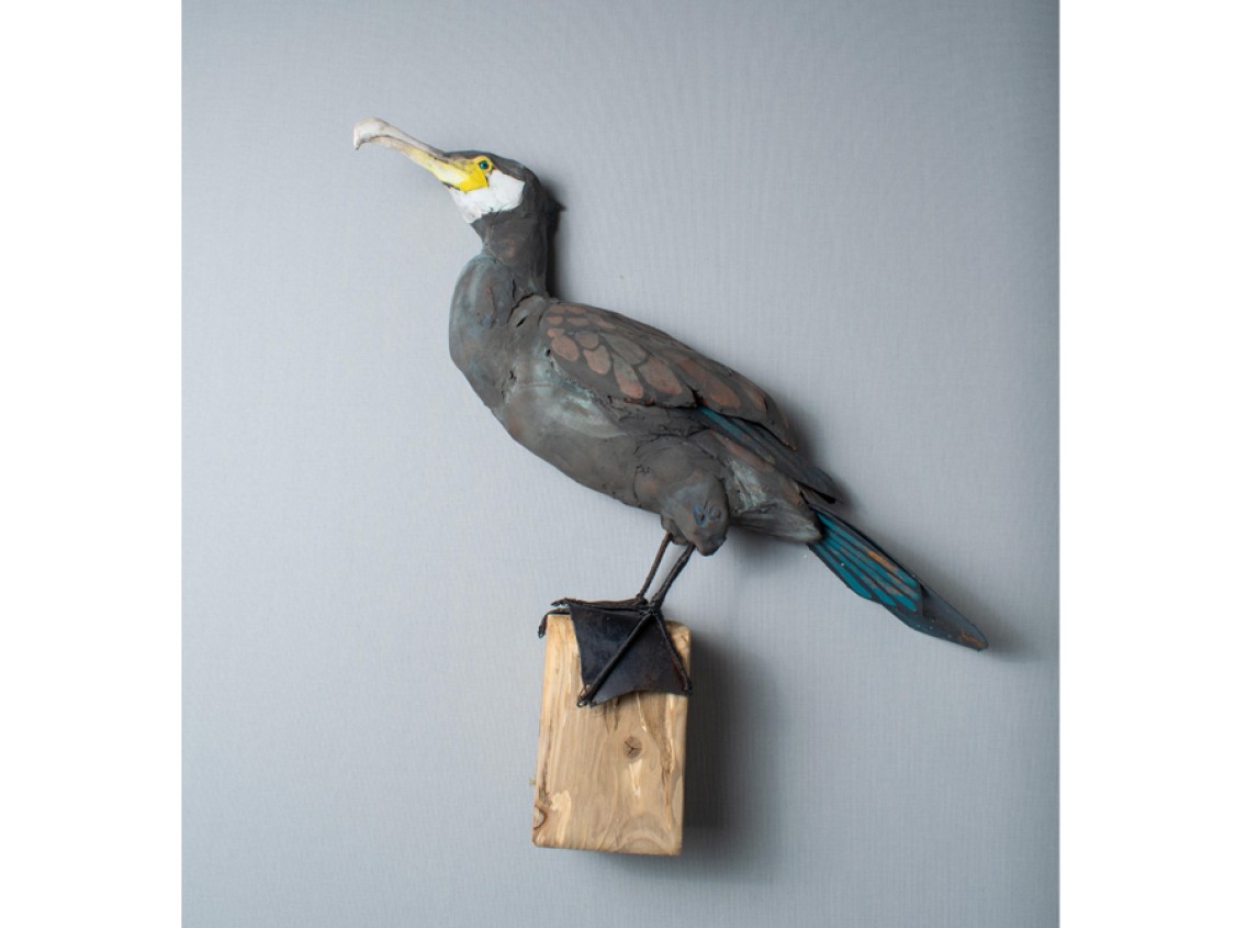 James Ort - Cormorant