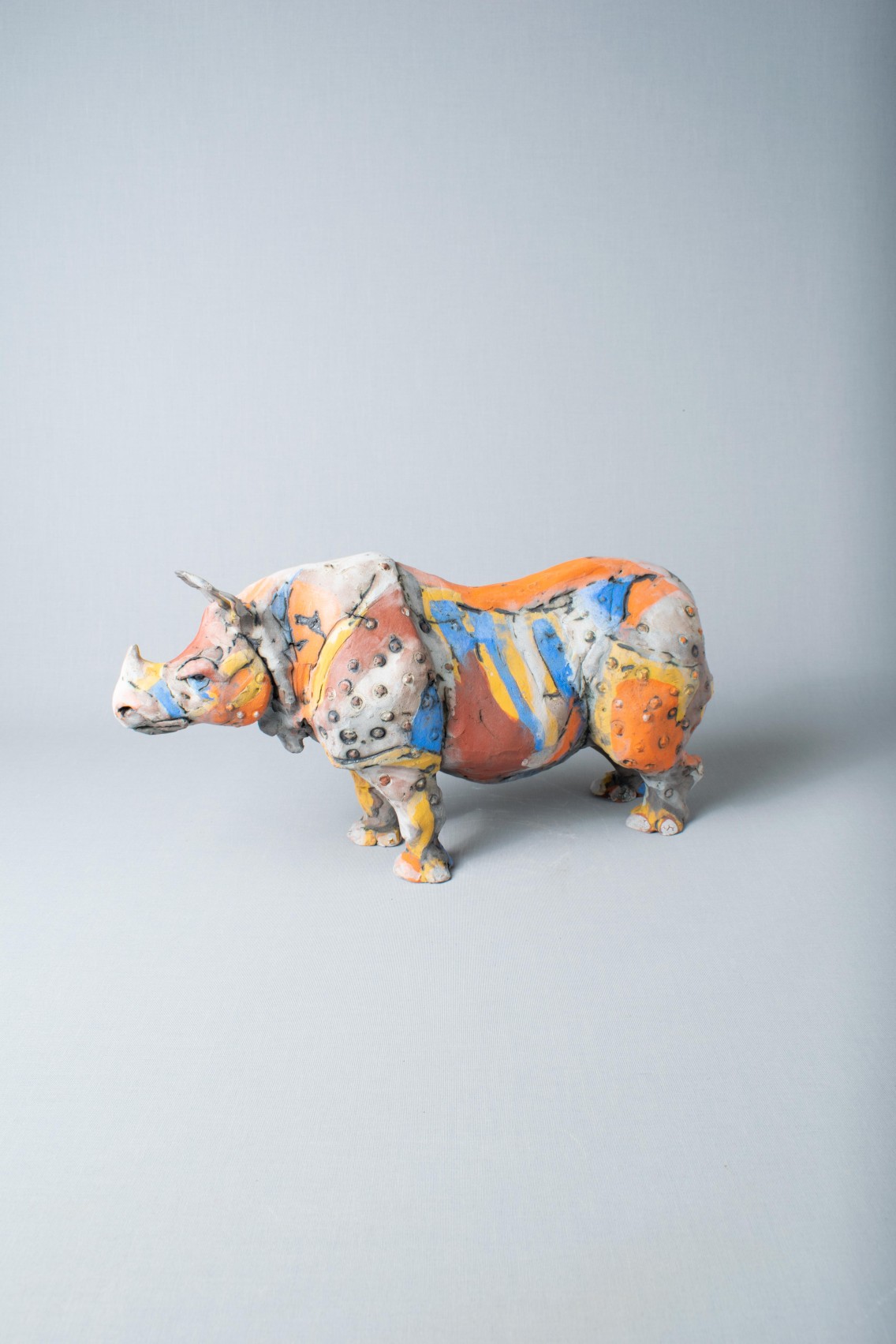 James Ort - Indian Rhino