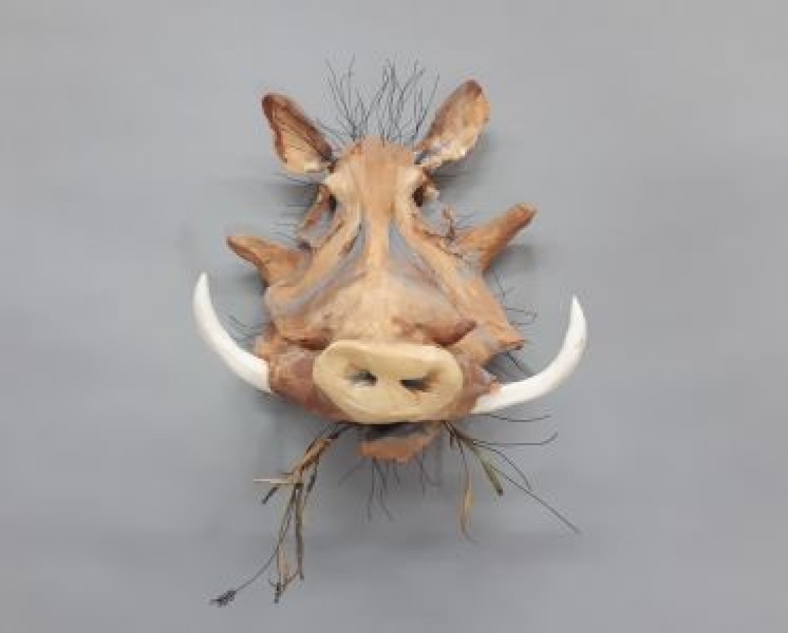 James Ort - Warthog
