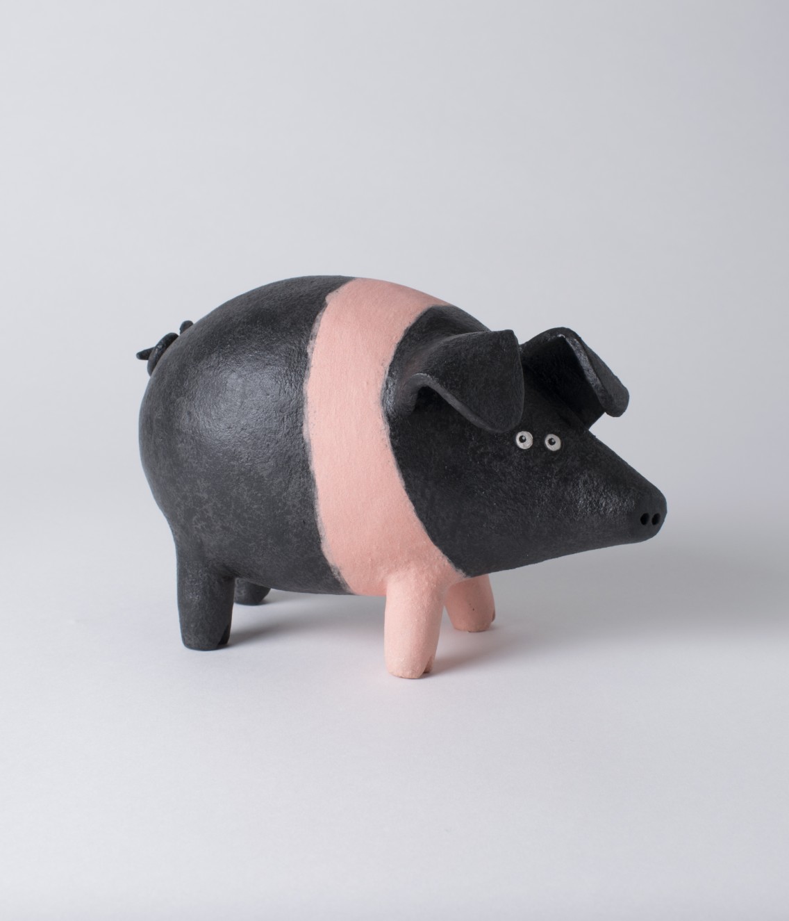 Saddleback Pig