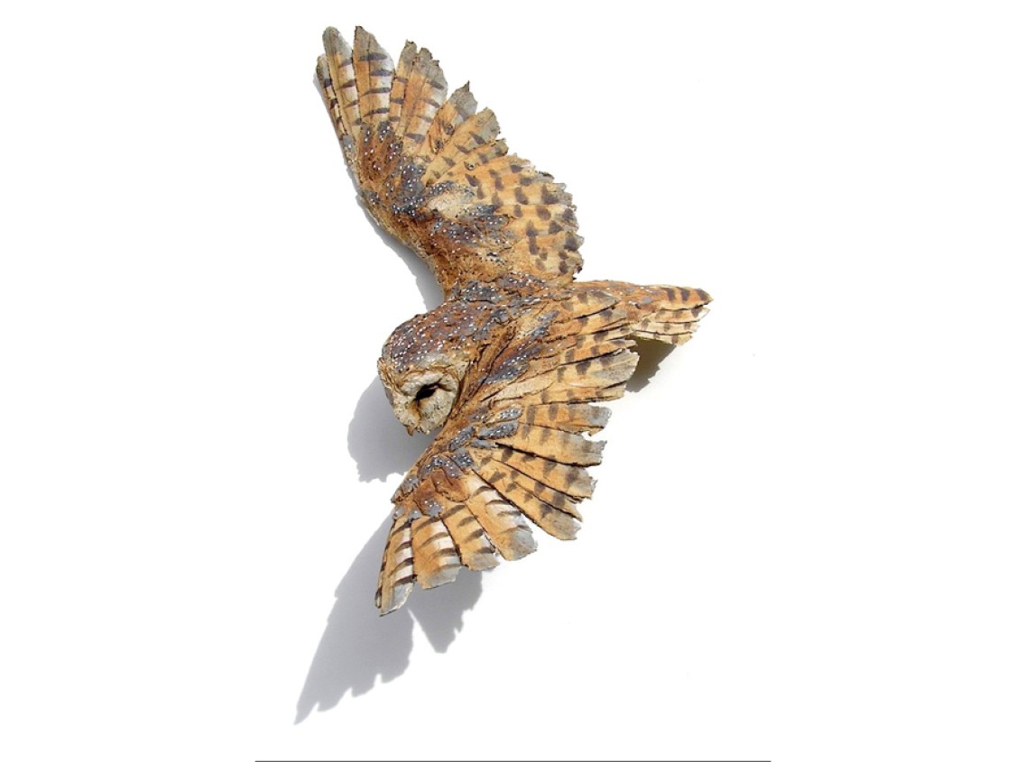 Simon Griffiths - Barn Owl in Flight