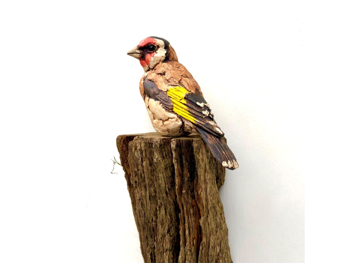Simon Griffiths - Goldfinch
