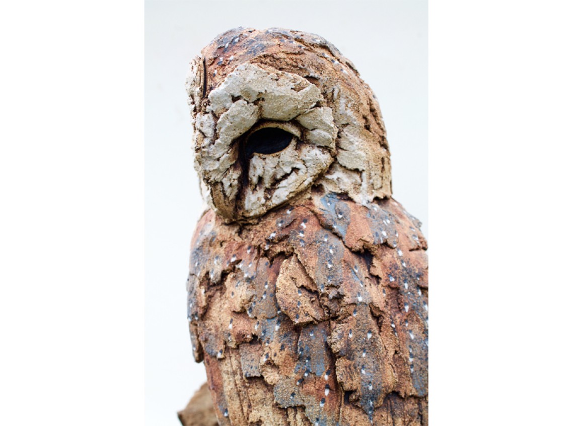 Simon Griffiths - Owl