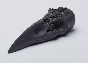 Black Raven