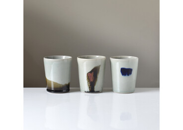 David Stonehouse - Beakers
