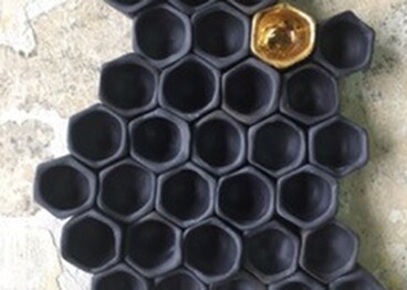 Honeycomb