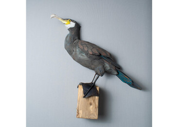 James Ort - Cormorant