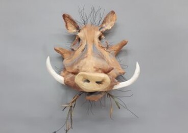 James Ort - Warthog