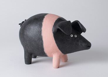Saddleback Pig