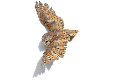 Simon Griffiths - Barn Owl in Flight