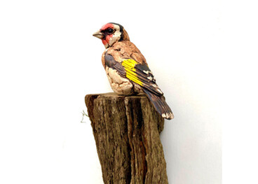 Simon Griffiths - Goldfinch