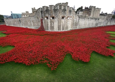 Stoke-on-Trent Tower Poppies bid update