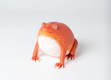 Tomato Frog