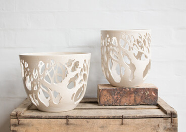 Tree Bowl