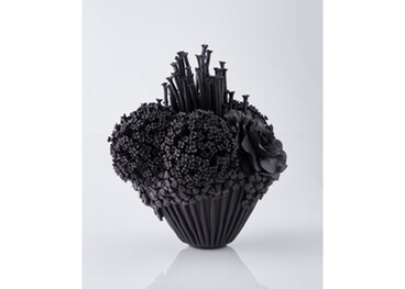 Vanessa Hogge - Black Efflorescence