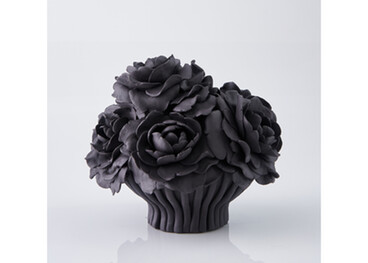 Vanessa Hogge - Black Rosie Efflorescence