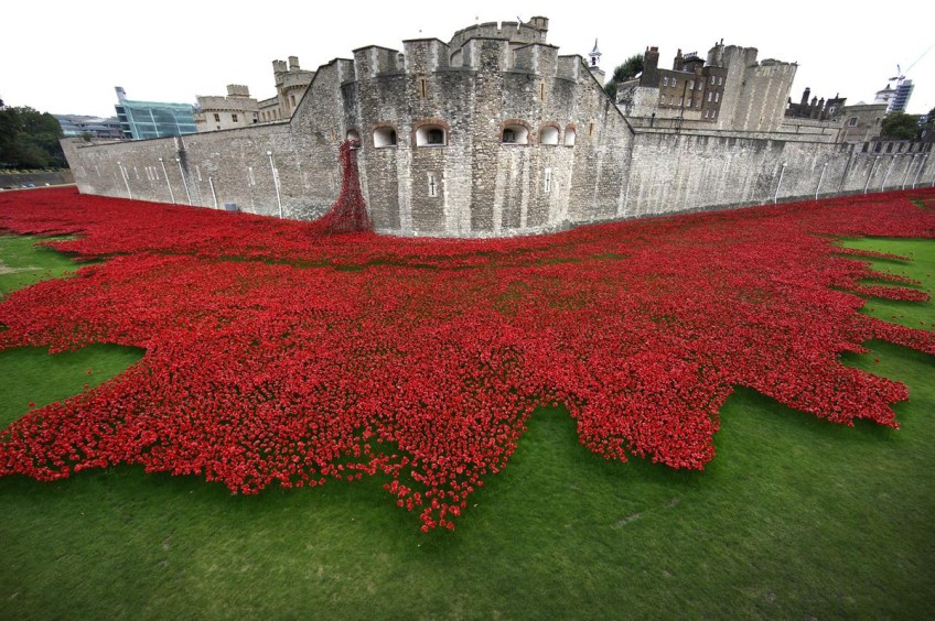Tower Poppies: Campaign