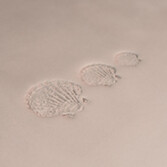 slider-img