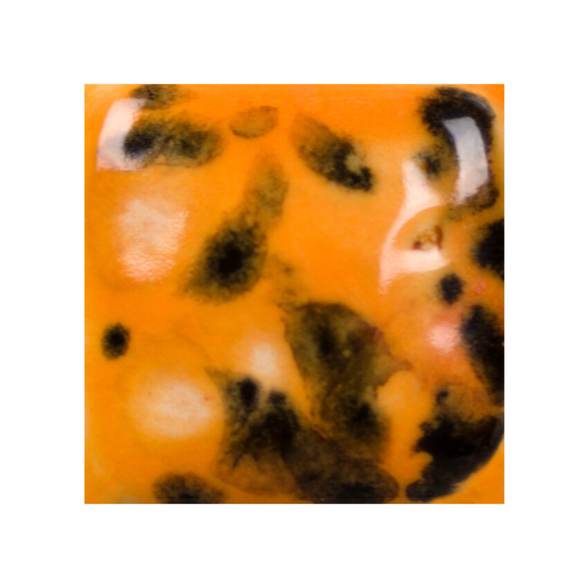 Photograph 2
