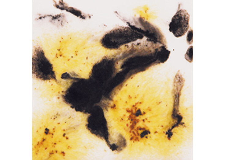 Mayco Crystalites Brush-On Glaze: Cheetah 118ml