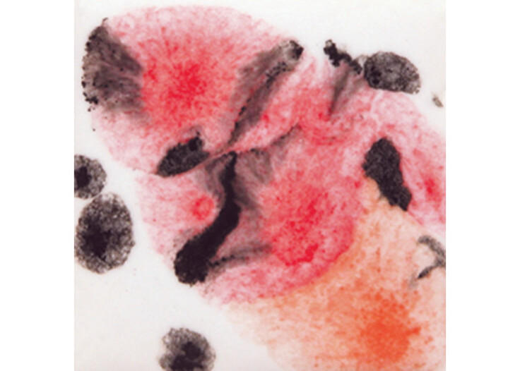 Mayco Crystalites Brush-On Glaze: Poppy Fields 473ML 473ml