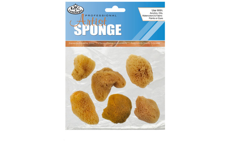 Natural Sponges: Small Fine (Pack of 6)