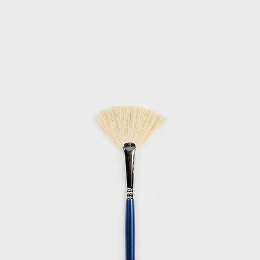 Photograph: #2 Soft Fan