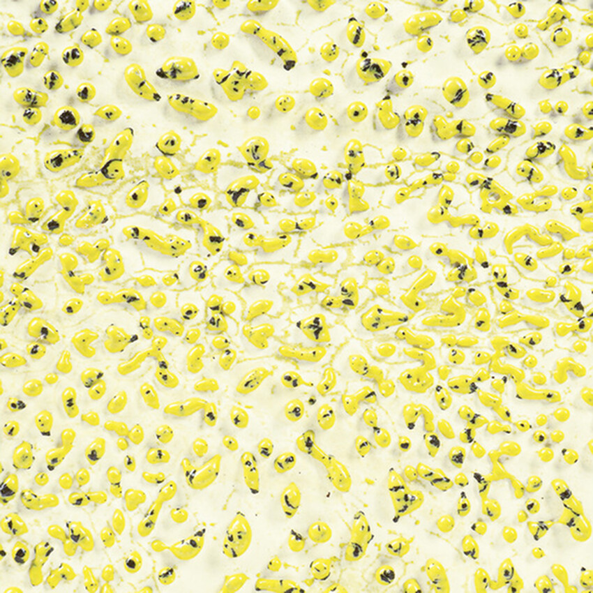 Photograph: AMACO Crawls - Yellow 473ml