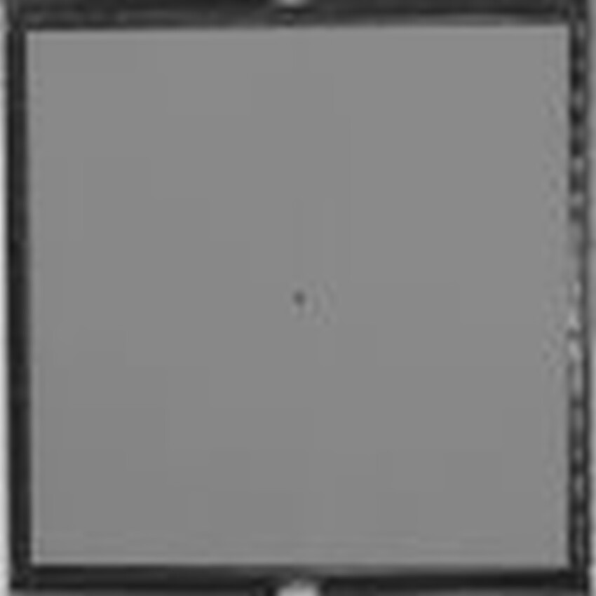 Photograph: Blank Die #980