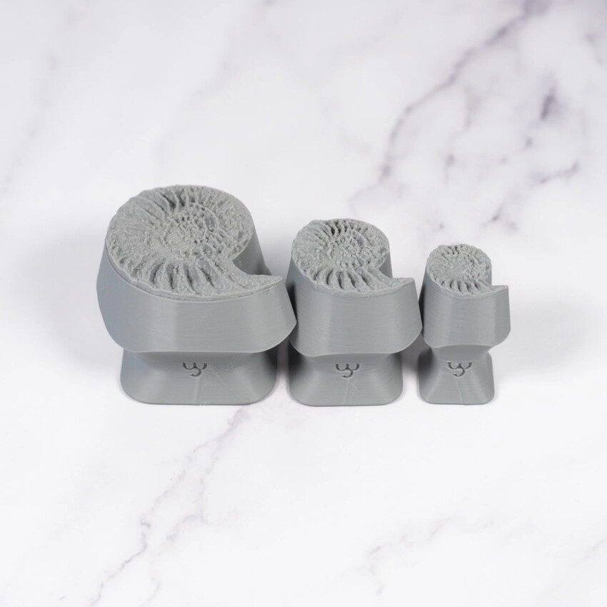 Photograph: Ceramind Stamp Set: Photo Textured Ammonite