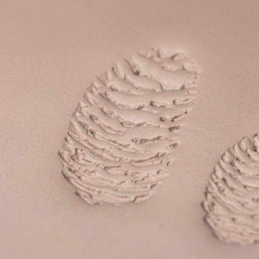 Photograph: Ceramind Stamp Set: Photo Textured Long Pinecone