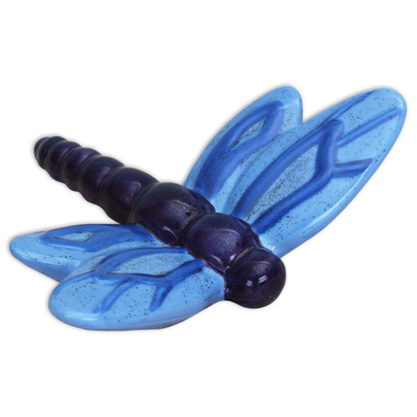 Photograph: Flying Dragonfly