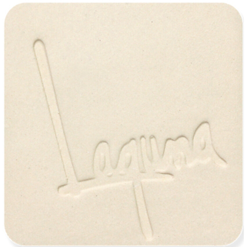 Photograph: Laguna WC401 Cone 5 B-Mix 25lb