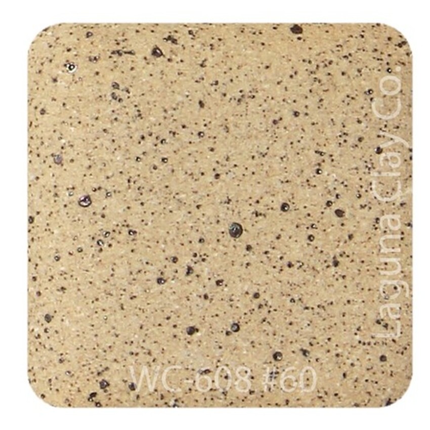 Photograph: Laguna WC608 Cone 5-6 Flecked Clay Body 25lb