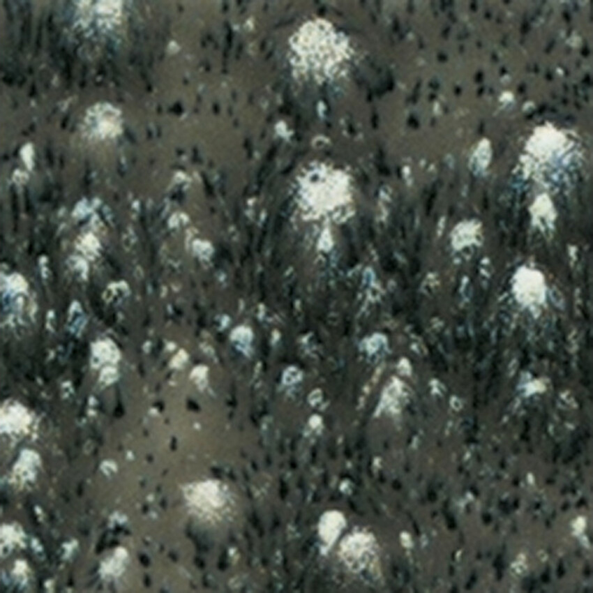 Photograph: Mayco Crystalites Brush-On Glaze: Cosmic Black 473ML 473ml