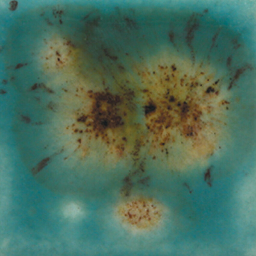 Photograph: Mayco Crystalites Brush-On Glaze: Lotus Blossom 118ml