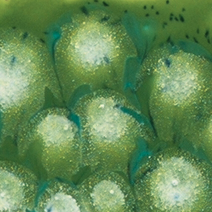 Photograph: Mayco Crystalites Brush-On Glaze: Spotted Kiwi 473ML 473ml