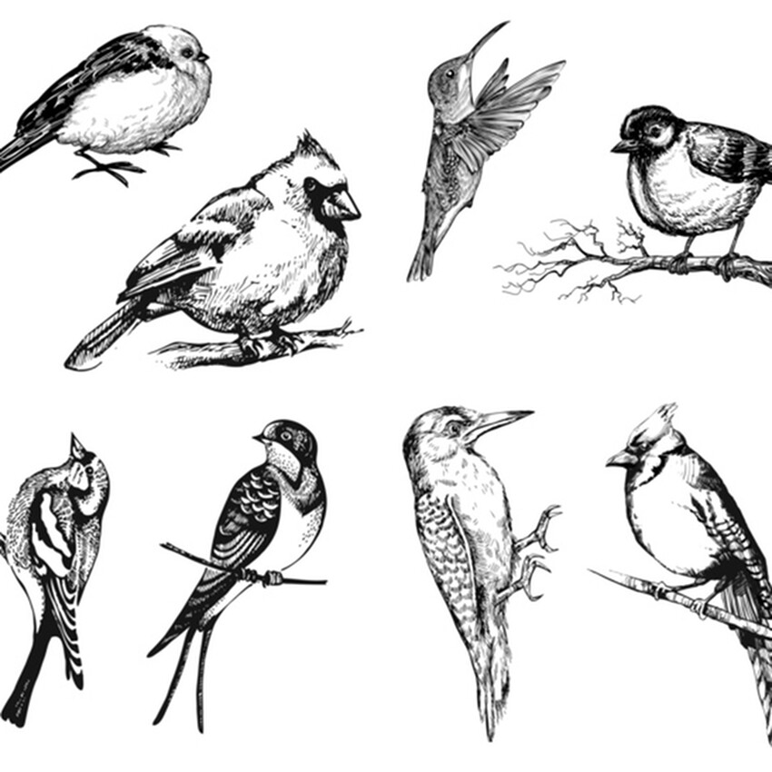Photograph: Mayco Designer Silkscreen: Aviary Small Birds