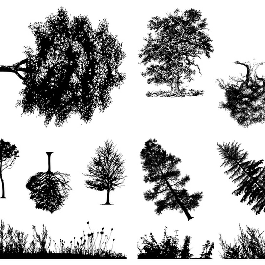 Photograph: Mayco Designer Silkscreen: Botanical (Trees)