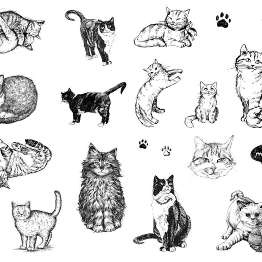 Photograph: Mayco Designer Silkscreen: Cats