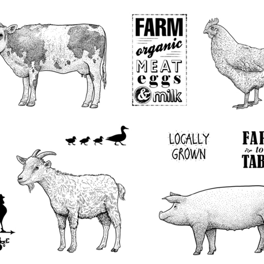 Photograph: Mayco Designer Silkscreen: Farmhouse