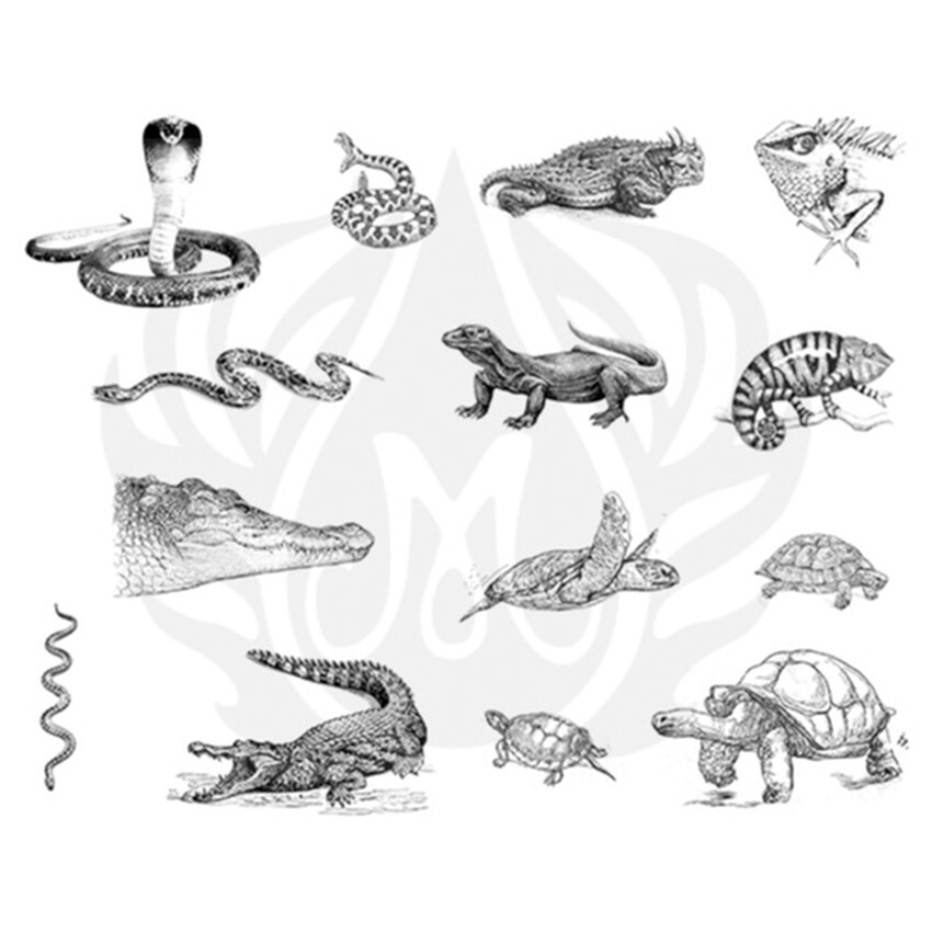 Photograph: Mayco Designer Silkscreen: Reptiles