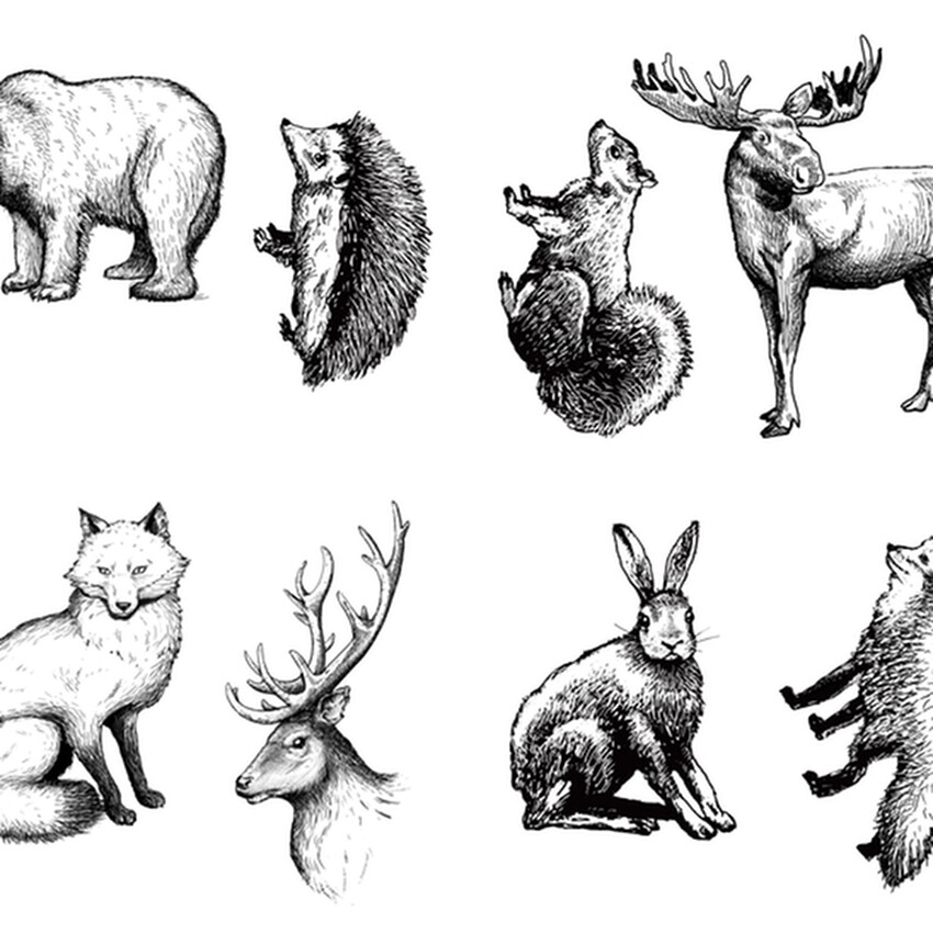 Photograph: Mayco Designer Silkscreen: Woodland Animals