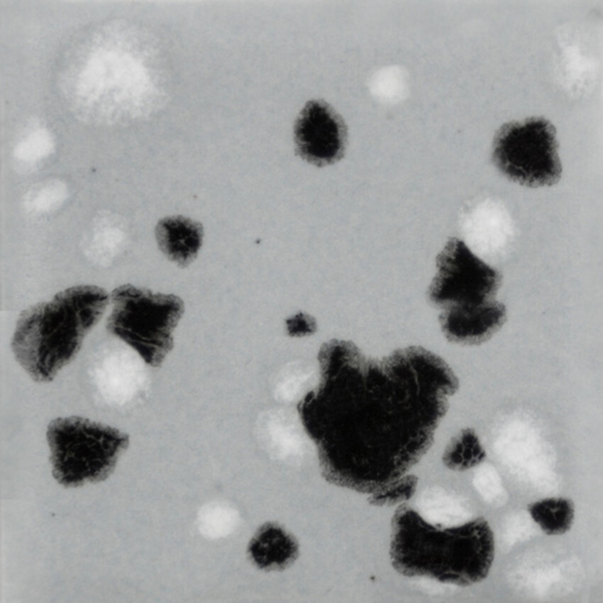 Photograph: Mayco Jungle Gems Brush-on Glaze: Asteroid 118ml