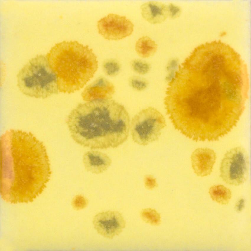 Photograph: Mayco Jungle Gems Brush-on Glaze: Haystack 118ml