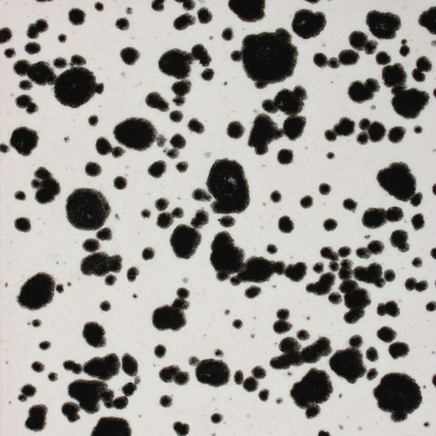 Photograph: Mayco Jungle Gems Brush-On Glaze: Ink Spots  118ml