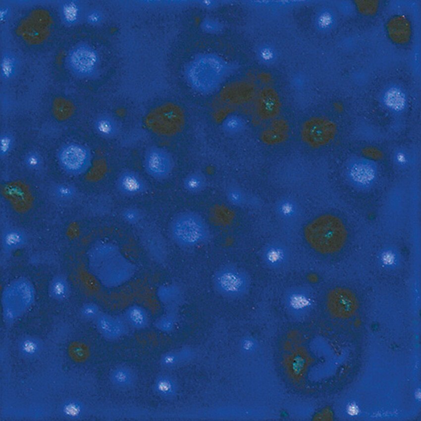 Photograph: Mayco Jungle Gems Brush-On Glaze: Lagoon Blue  118ml
