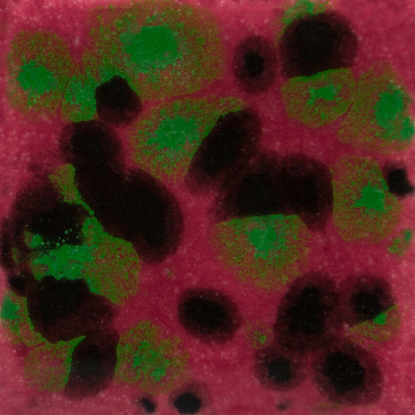 Photograph: Mayco Jungle Gems Brush-on Glaze: Maroon Lagoon 473ml