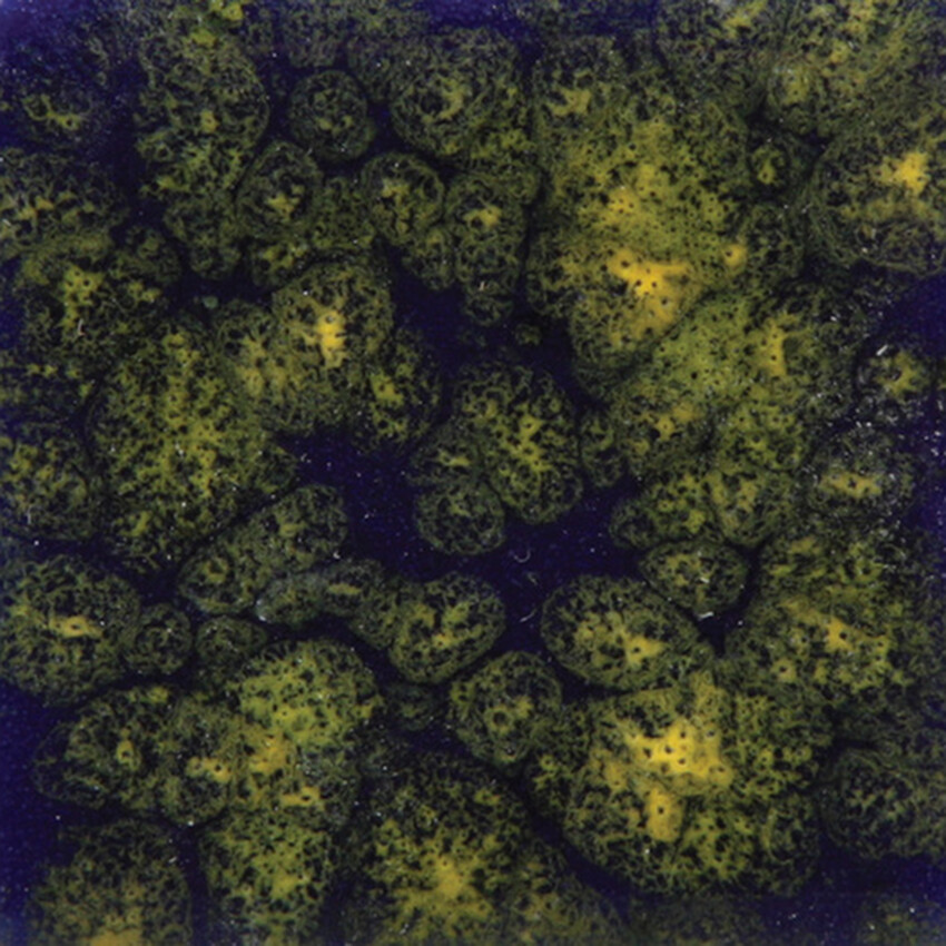 Photograph: Mayco Jungle Gems Brush-On Glaze: Starry Night  118ml