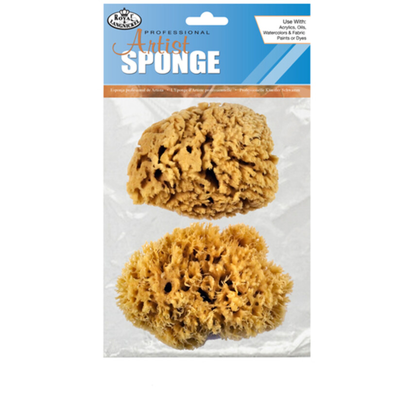 Photograph: Natural Sponges: Medium Coarse (Pack of 2)
